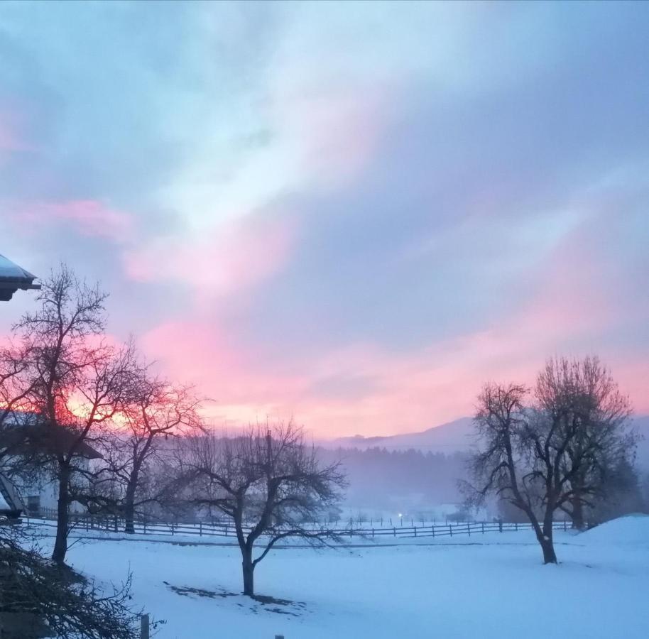 Fewo Fabiella Mit Balkon Millstatt Dış mekan fotoğraf